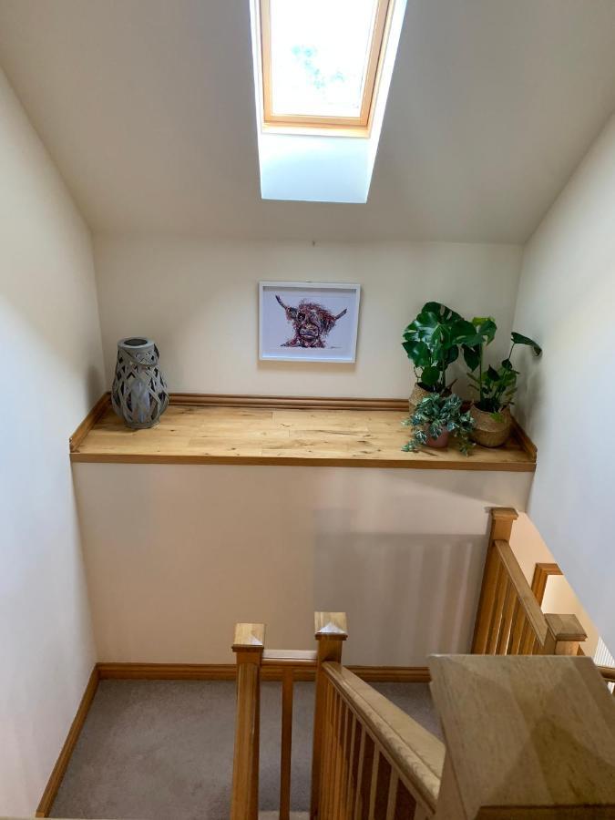 Hen Pen Villa Montrose Buitenkant foto